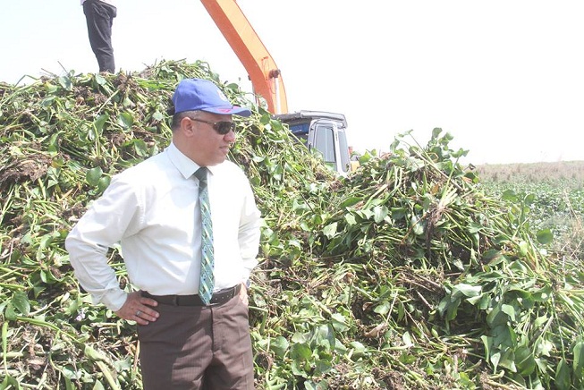 نائب محافظ ذي قار:زهرة النيل تجتاح 36 كم2 من هور ( أبو زرك ) وتشكيل غرفة عمليات لمكافحتها