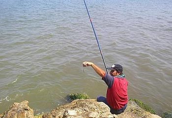 ندوة عن تأثير الصيد الجائر على الأسماك ومناقشة نقص المياه  في كربلاء