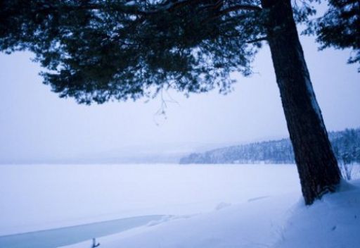 سويدي يقضي شهرين تحت الثلج ويبقى على قيد الحياة