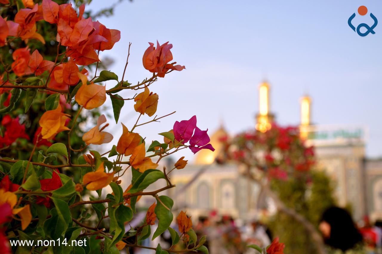 ارتفاع درجات الحرارة ابتداءاً من غد الخميس