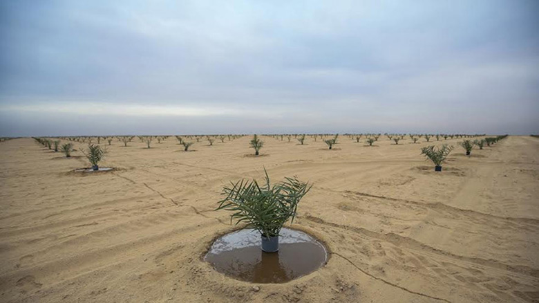 العتبة الحسينية تدشن مزرعة فريدة من نوعها في العراق (فيديو)