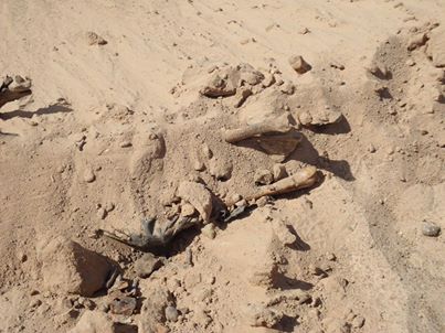 مقبرة جماعية جديدة في النجف تضم رفات 27 شهيد بينهم اطفال