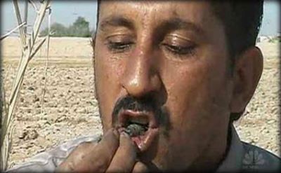 مزارع سامرائي يربي العقارب وياكلها حيـّة (مصور)