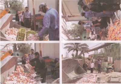 صحة كربلاء : إتلاف (4320) كغم من المواد الغذائية الغير صالحة للاستهلاك البشري