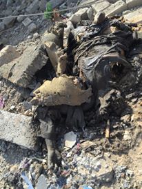 بالصور:مقتل 83 داعشيا على ايدي لواء علي الاكبر  في بيجي