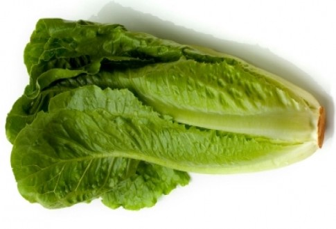 بعد مشاهدتك لهذا الفيديو لن ترمي كعب الخس بعد اليوم !