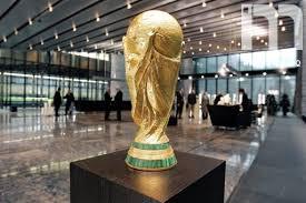 جماهير الامارات تحتفي بكأس العالم