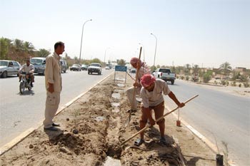 حملة موسعة لزراعة6349 شجرة في عموم مدينة كربلاء