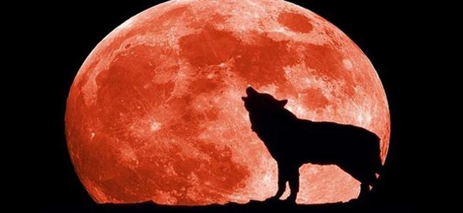 ظاهرة فلكية بدأت وفي الماضي رافقتها كارثتان عربيتان