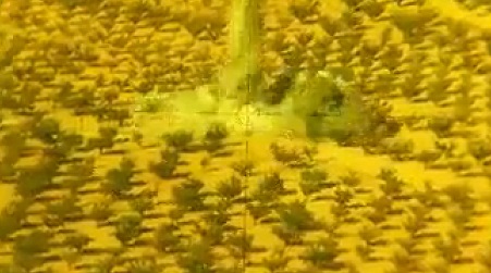 بالفيديو: طائرة تابعة لحزب الله تقصف موقعاً لمسلحي داعش