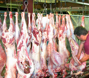 كربلاء تمنع ادخال اللحوم غير الخاضعة للرقابة الصحية الى المحافظة