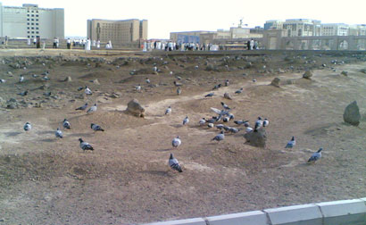 قوات الامن السعودي "تهتك" حرمة مقبرة البقيع وتعتدي على الزوار