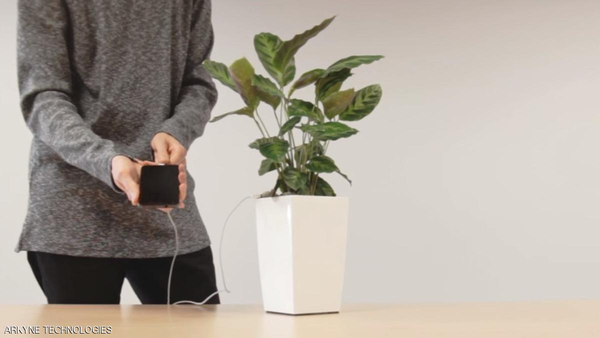 النباتات مصدر جديد لشحن الهواتف الجوالة