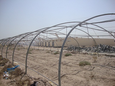 مزارعون في كربلاء يتهمون الحكومة المحلية ومديرية الزراعة بافشال المبادرة الزراعية المدعومة حكوميا