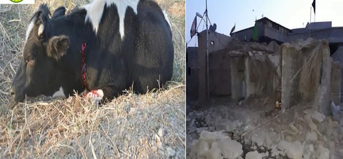 بالصور:طائرات (مجهولة) تقصف مناطق محررة للشيعة التركمان بكركوك تسفر عن العشرات من الشهداء والجرحى ومقتل المواشي