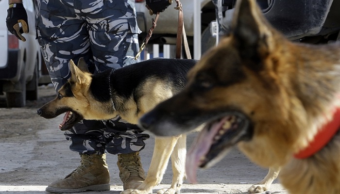 كربلاء تعزز اعداد الكلاب البوليسية من 50 كلبا الى 71 كلبا