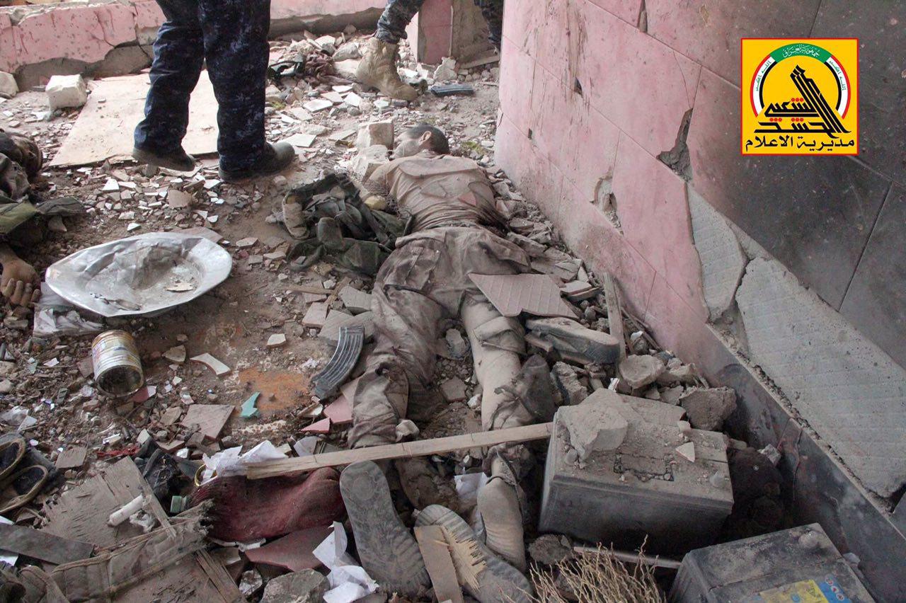 الحشد الشعبي ينشر صوراً لقتلى داعش في جزيرة الخالدية (مصور)