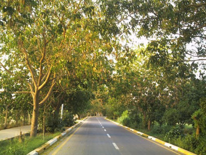 أحباط محاولة انتحار امرأة في أبي نؤاس ببغداد