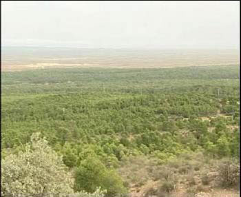 انتهاء العمل بنسبة 40% من القرية العصرية في كربلاء