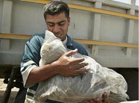 اكتشاف مقبرة جماعية تعود لشهداء الانتفاضة الشعبانية