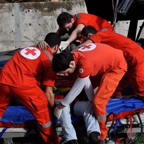 افعى تتسبب بحادث مروري يوقع 11 اصابة