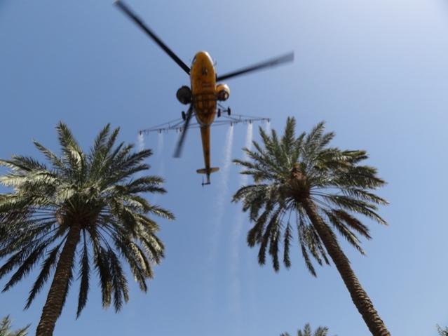 الزراعة: قريباً سنطوي ملف مكافحة الدوباس في العراق