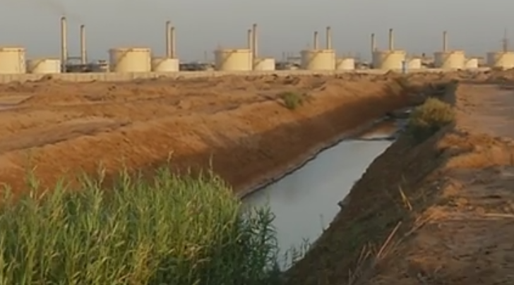 بالفيديو: تلوث في احد المبازل بكربلاء بسبب القاء زيوت ومخلفات من محطة كهربائية