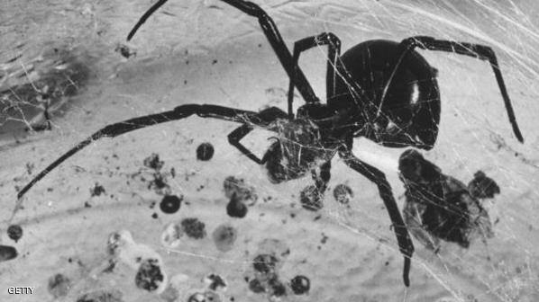 الارملة الكاذبة تغلق مدرسة في بريطانيا