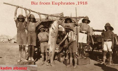 من الارشيف - جنود انكلييز في العراق يحملون سمكة كبيرة بعد اصطيادها عام 1918