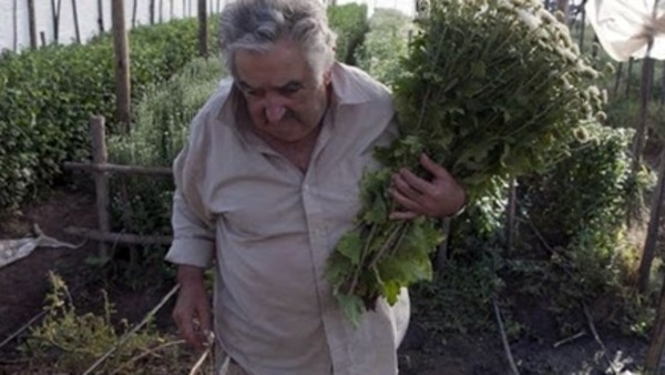 رئيس الأوروغواي الافقر بالعالم  يفتح بيته لـ 100 طفل سوري