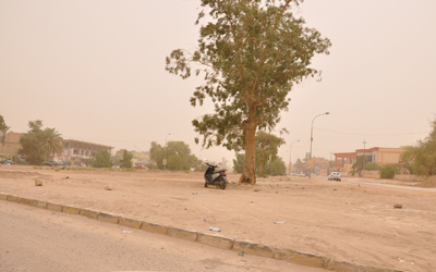 جزرات وسطية في شارع حيوي بكربلاء تعاني من التصحر والاهمال(مصور)