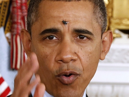 ذبابة تنتقم من أوباما وتهبط على جبينه وهو يلقي كلمة في البيت الأبيض