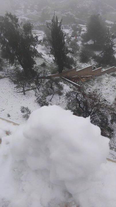 الثلوج توقف الدراسة في لبنان