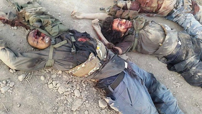 بالصور :حصاد الفرقة الذهبية في جبهات القتال