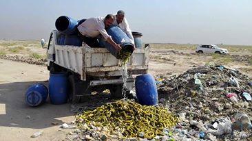 صحة كربلاء تتلف أكثر من طنين من مادة الطرشي (محلي المنشأ) وتغلق (8) محال مخالفة للشروط الصحية