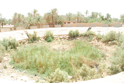 كربلاء :ثلث قضاء عين التمر يتحول الى صحراء ومسؤولوه يطالبون بحصص مائية من بحيرة الترثار