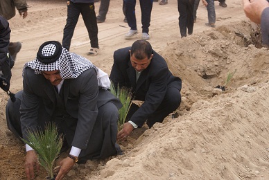 زوار الامام الحسين يشاركون زراعة كربلاء بشتل أكثر من 5000 آلاف شتلة لطريق ياحسين (مصور)