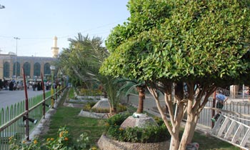 انشاء حديقة طولها (200م)  وبأربع قواطع في باب الشهداء قرب الصحن الحسيني الشريف