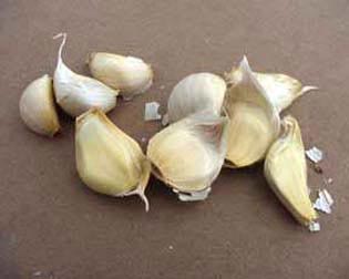 توزيع 6240 كغم من بذور الثوم على الفلاحين في كربلاء