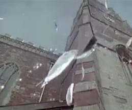 سحابة سوداء تمطر سمكاً مرتين في العام