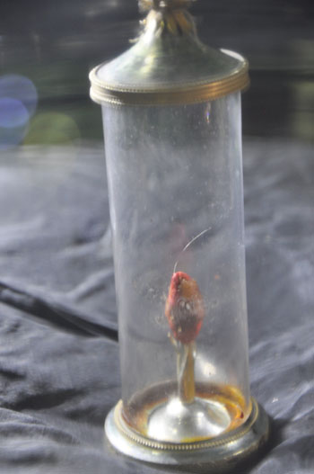 كربلاء :متحف الامام الحسين يعرض شعرة السعادة المنسوبة للنبي محمد صلى الله عليه واله وسلم (مصور)