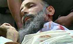 نقل (النمر) إلى مستشفى قوى الأمن العام بالرياض