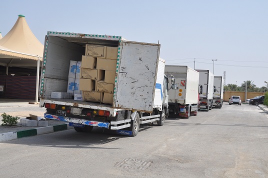 وصول  قافلة شاحنات محملة بالادوية والمستلزمات الطبية الى كربلاء(مصور)