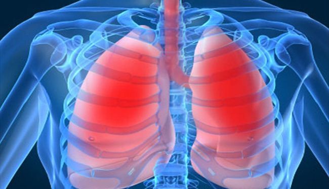 للمدخنين .. كيف تنظف الرئتين بـ 3 أيام فقط ؟