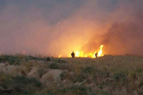 بالصور:ضربات موجعة للعدو الداعشي في قاطع قرية البشير جنوبي كركوك