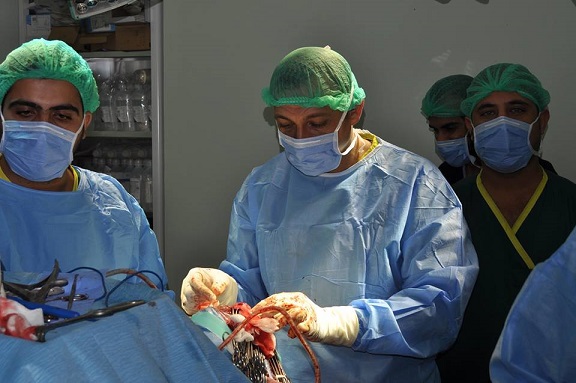 لاول مرة :نجاح عملية رفع ورم دماغي في كربلاء (مصور)