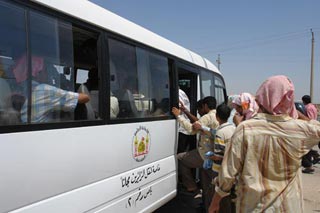 شراء (60)  سيارة حديثة لنقل زائري الامام الحسين عليه السلام