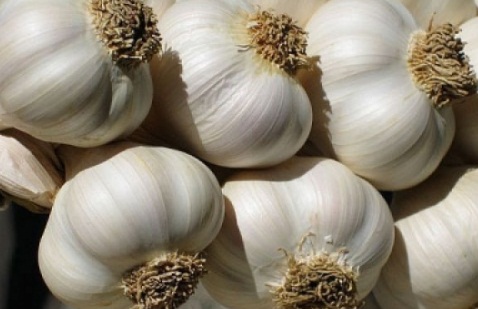 تعرف على فوائد الثوم ؟؟