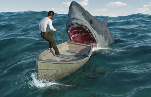 بالصورة :سمكة قرش تسحب قارب صياد مغامر لاميال قبالة فلوريدا