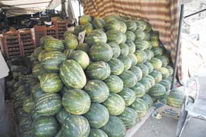 اصابة شخصين بسبب الرقي الابيض